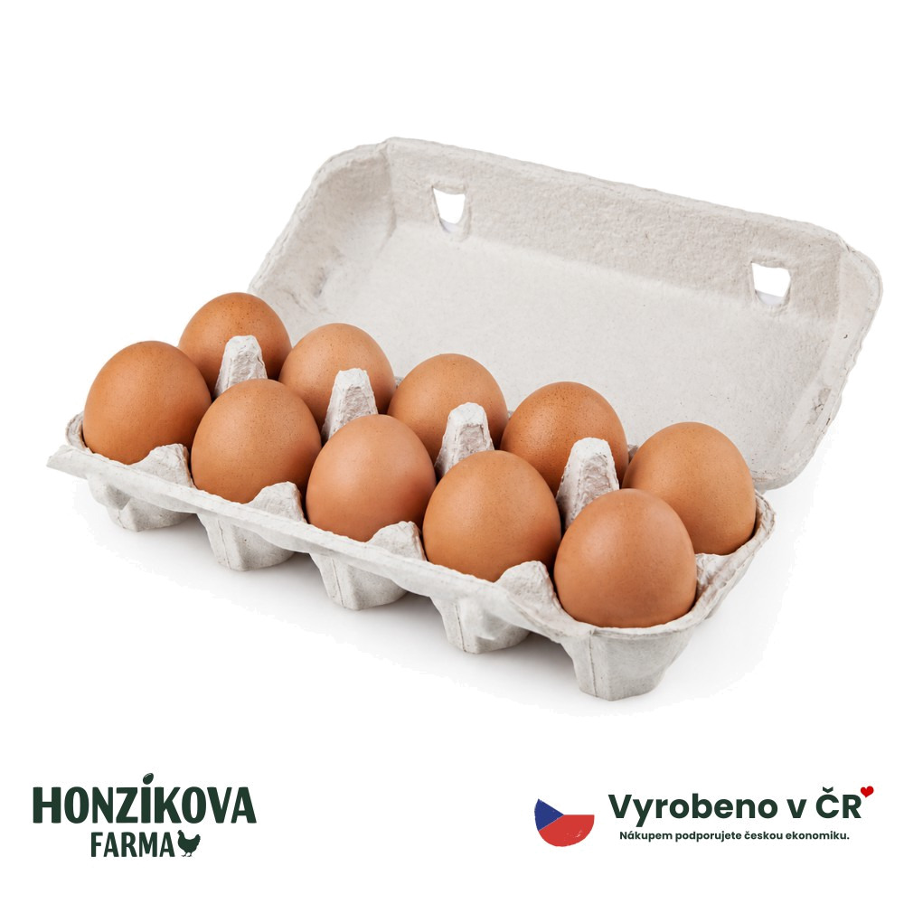 Otevřená krabička s deseti hnědými vejci v důlcích, víko odklopené dozadu
